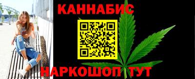 крисы Кингисепп