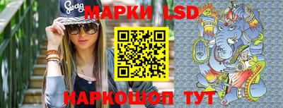 крисы Кингисепп