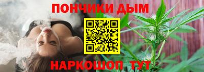 крисы Кингисепп