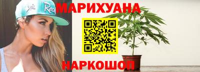 крисы Кингисепп