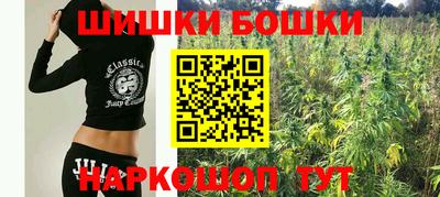 крисы Кингисепп