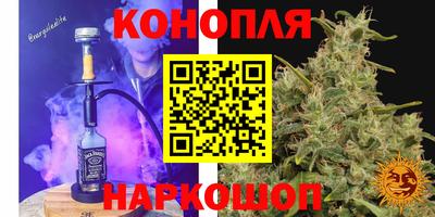 прущие крисы Кимры