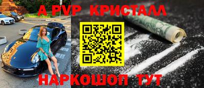 крисы Кингисепп