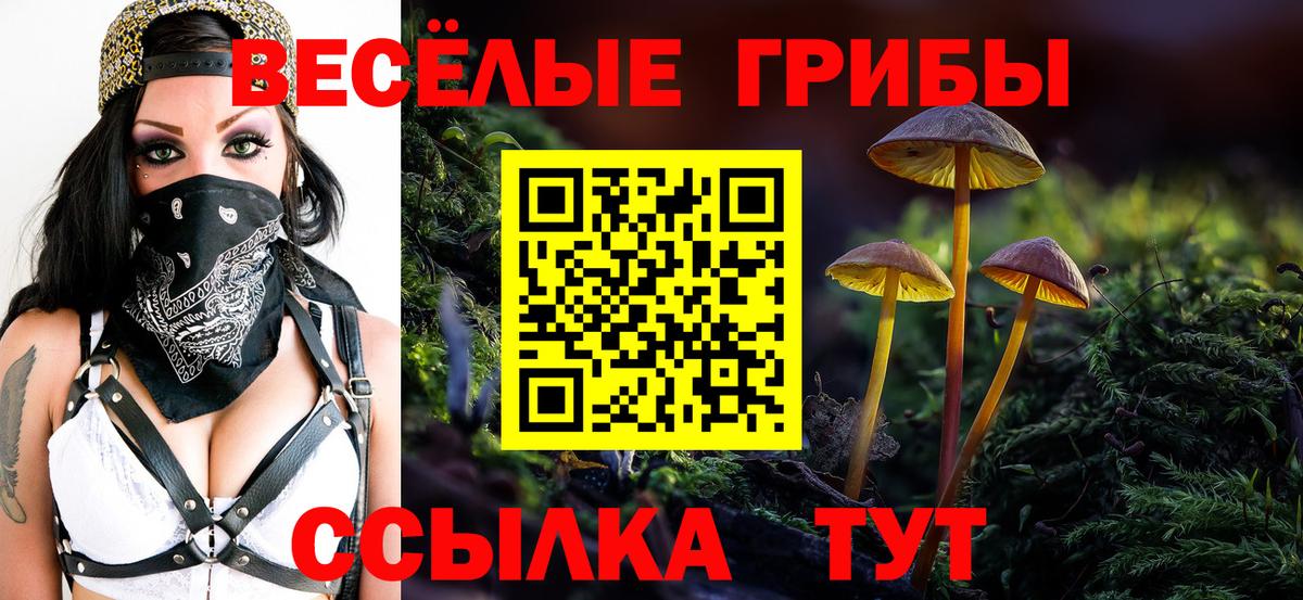 Канск  Галлюциногенные грибы мицелий  Вход с VPN 